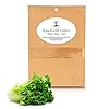 Romaine Lettuce Seeds for Hydroponics or Planting an Indoor or Outdoors Vegetable Garden Heirloom Seed Packet! #1