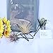 Pack of 4 Air Plant Holder Tillandsia Base, Modern Geometric Metal Air Plant Stand Airplant Display Rack, Tabletop Big Streptophylla Plant Display Table Hand for Home Office Decoration Supplies