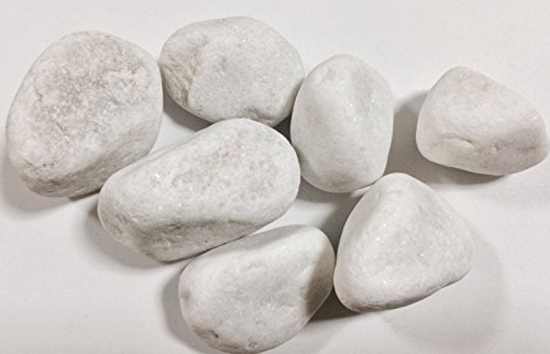 Kieselsteine Zierfische Farbe Weiß 5 – 8 cm/5 kg Boden Aquarium Teich Garten