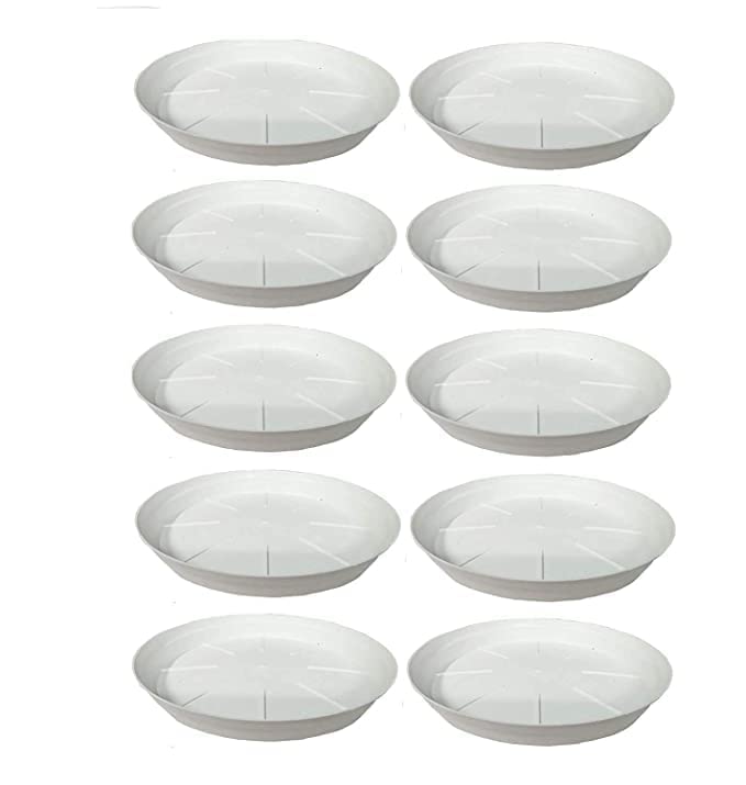 See full amazon price history chart for Varshney Gardening 8" Plastic Bottom Tray Plate Suitable for 10 inch, 12 inch, Round Plastic Pot, Set of 10 Pieces (White) Varshney Gardening 8" Plastic Bottom Tray Plate Suitable for 10 inch, 12 inch, Round Plastic Pot, Set of 10 Pieces (White) (B0BTZ1MDLV) Amazon Price History, Amazon Price Tracker