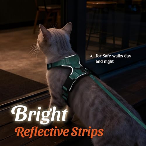 Image of Dooradar Cat Harness and Leash Set, Escape Proof Safe Adjustable Kitten Vest Harnesses for Walking, Easy Control Soft Breathable Mesh Jacket with Reflective Strips for Cats, Green, XS
