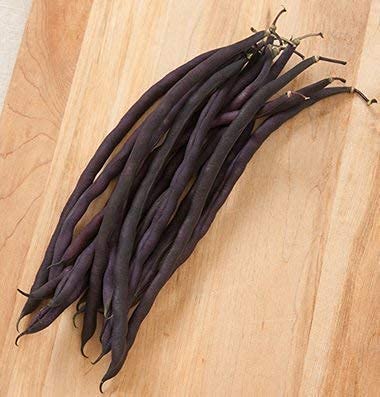 David's Garden Seeds Bean Pole Carminat Fba-3177 (Purple) 50 Non-Gmo, Open Pollinated Seeds #TOP25