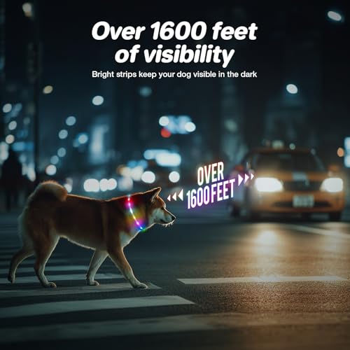 50% Off RUXAN Light Up Dog Collar for Night Walking Safety