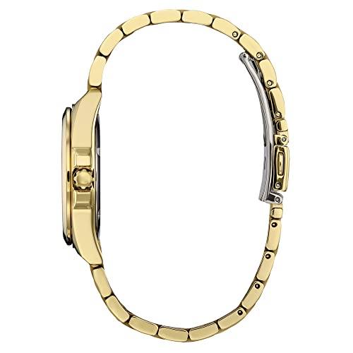 Image of Citizen Ladies' Eco-Drive Classic Peyten Watch, Day-Date, Sapphire Crystal