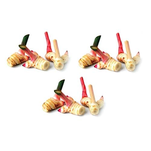 3 x 100g Frischer Galgant - Pamai Pai® - Thai Ingwer frisch Galanga Galangawurzel Suppe