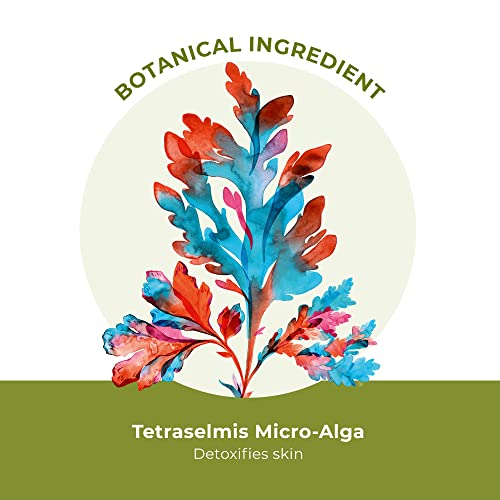 Yves Rocher Pure Algue The 3 In 1 Makeup Removing Marine Jelly - Image 4