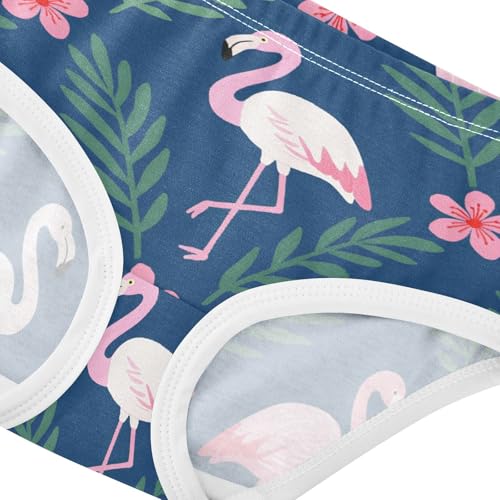 Briefs Panties Organic Underpants for Toddler Girls in Sizes 2T,3T, 4T, 5T, 6Y and 8Y4