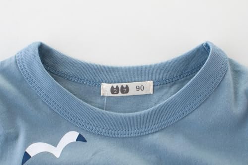 Acqua di Mare Camiseta Menino Kit c/3 Manga Curta 100% algodão 2 a 10 anos, Camiseta Infantil Várias