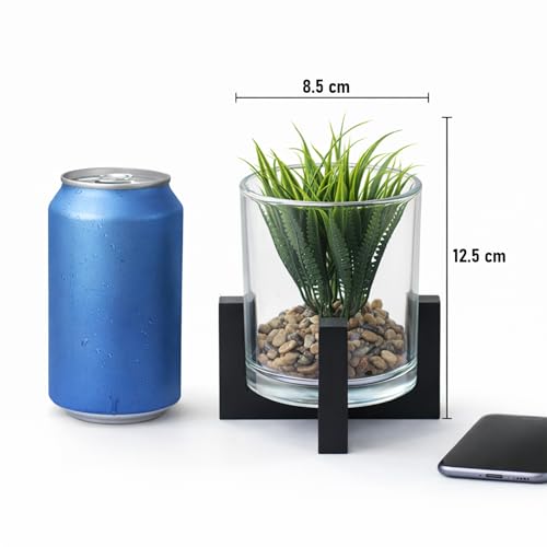 Image of CURATED CART Artificial Plant with Glass Pot for Home Decor, Mini Small Decor Item, Fake Succulent Plant for Office Desk Home Decoration, Pebbles & Wooden Stand Included, 12cm Indoor Decor