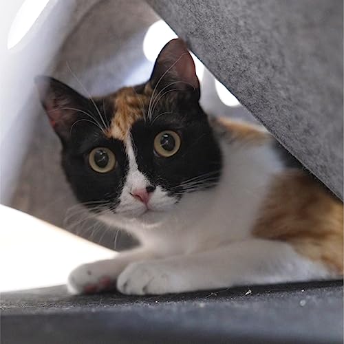 Lit pour chat et jeu en un circulaire en feutre gris - 4