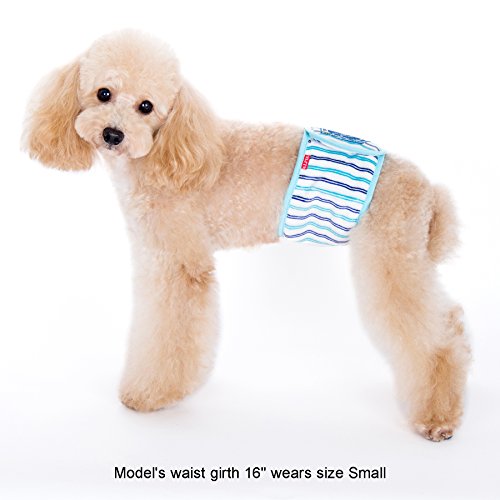 Alfie Pet - Gaki Belly Band 3-Piece Set - Size: M (For Boy Dogs) #TOP3