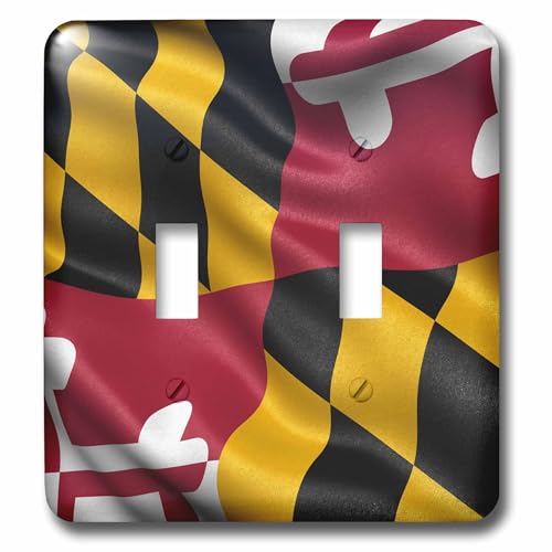 Double interrupteur à bascule Maryland pour remplacer vos plaques blanches - 2