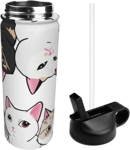 X|[c  lR L  zCg Aj} XeX{g X|[c{g @r ^fM ۉ|bg e XeX  EH[^[{g  ϗϔM j̎q ̎q AEghA ֗ sp 532ml 蕨