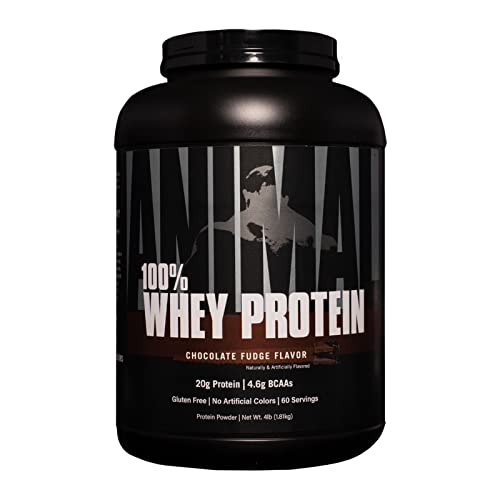 Animal 100 Whey Protein Powder Whey Blend For Pre Or Post Workout animal-100-whey-protein-powder-whey-blend-for-pre-or-post-workout