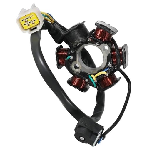 Stator d'allumage pour ATV 150 et 150T pièce de rechange AKO-P043209