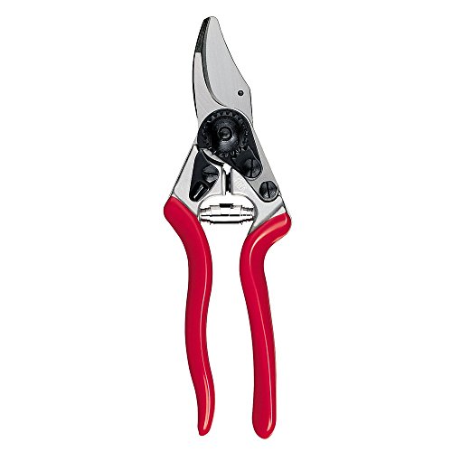 Irega – Secateurs 6 8 °F100/6
