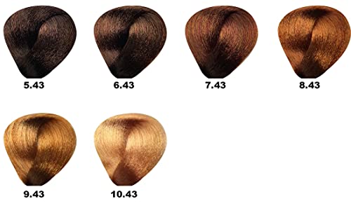 BES Hi-Fi Hair Color with Vegetable Liposomes 6.43 Dark Copper Golden Blonde miniatura 2