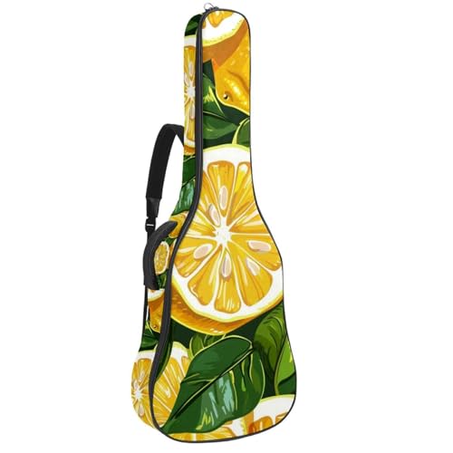 Housse guitare 104,3 cm antichoc protégeant de la pluie