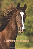 alexandra stan  Carnet de Notes: Cheval American Saddlebred  Journal, notes, pense-bête  100 pages lignées  env. 15x23 cm