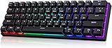 Portable 60% Mechanical Gaming Keyboard,60 Percent Wired Gamer Keyboard with Blue Switches,LED Customization Backlit,61 Keys Ultra-Compact Mini Office Keyboard for PC/Mac/Xbox,Easy to Carry On Trip