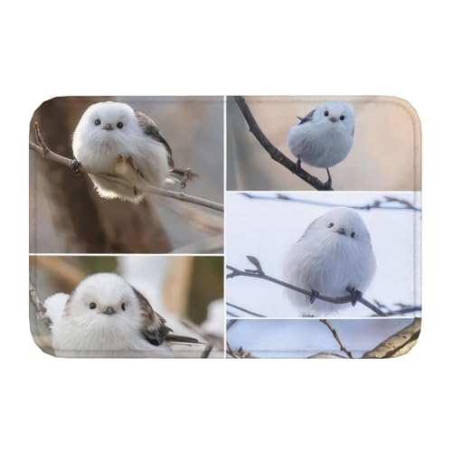玄関マット 室内 屋外 シマエナガ 小鳥 滑り止め 洗える ふわふわ 吸水速乾 防臭 耐久 可愛い おしゃれ 北欧風 40×60cm