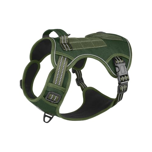  n[lX̑f  h~ Ȃ EȒP AɗD TCY\ U  s⏕ Č Hc Zbg ^ ^ ^p (O[, S)