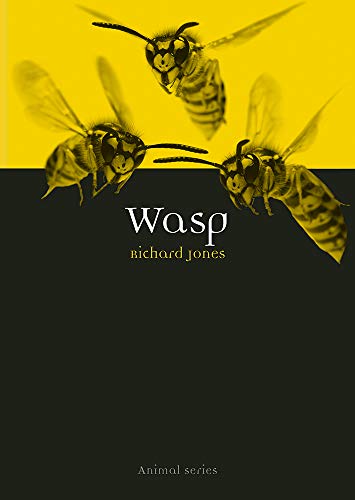 Wasp (By: Richard Jones)