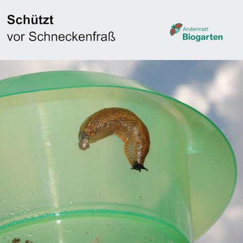 Schneckenfalle Andermatt Biogarten SchneckenStopp PP 12er Pack