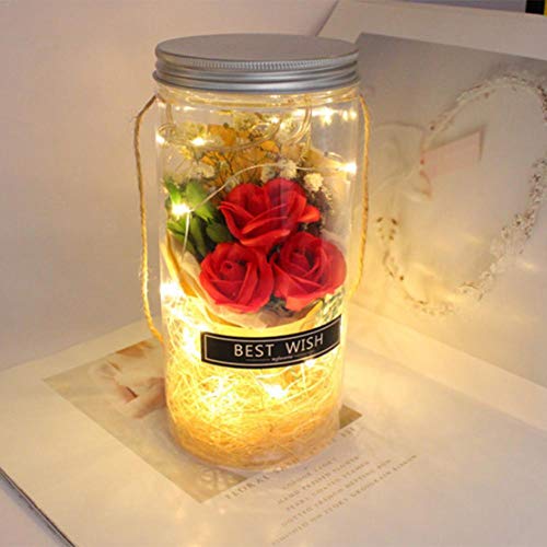 LED Night Light