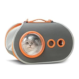 PETCUTE Transportbox Hund,Transportbox Katze,Atmungsaktive Transporttasche für Katze Hund,Haustiere Tragetasche mit Verstellbarer Schultergurt,Abnehmbare Matte,Hundetasche für Katzen und Hunde
