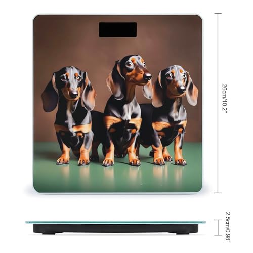 Báscula digital de baño Dachshund Weiner dog vidrio templado miniatura 2