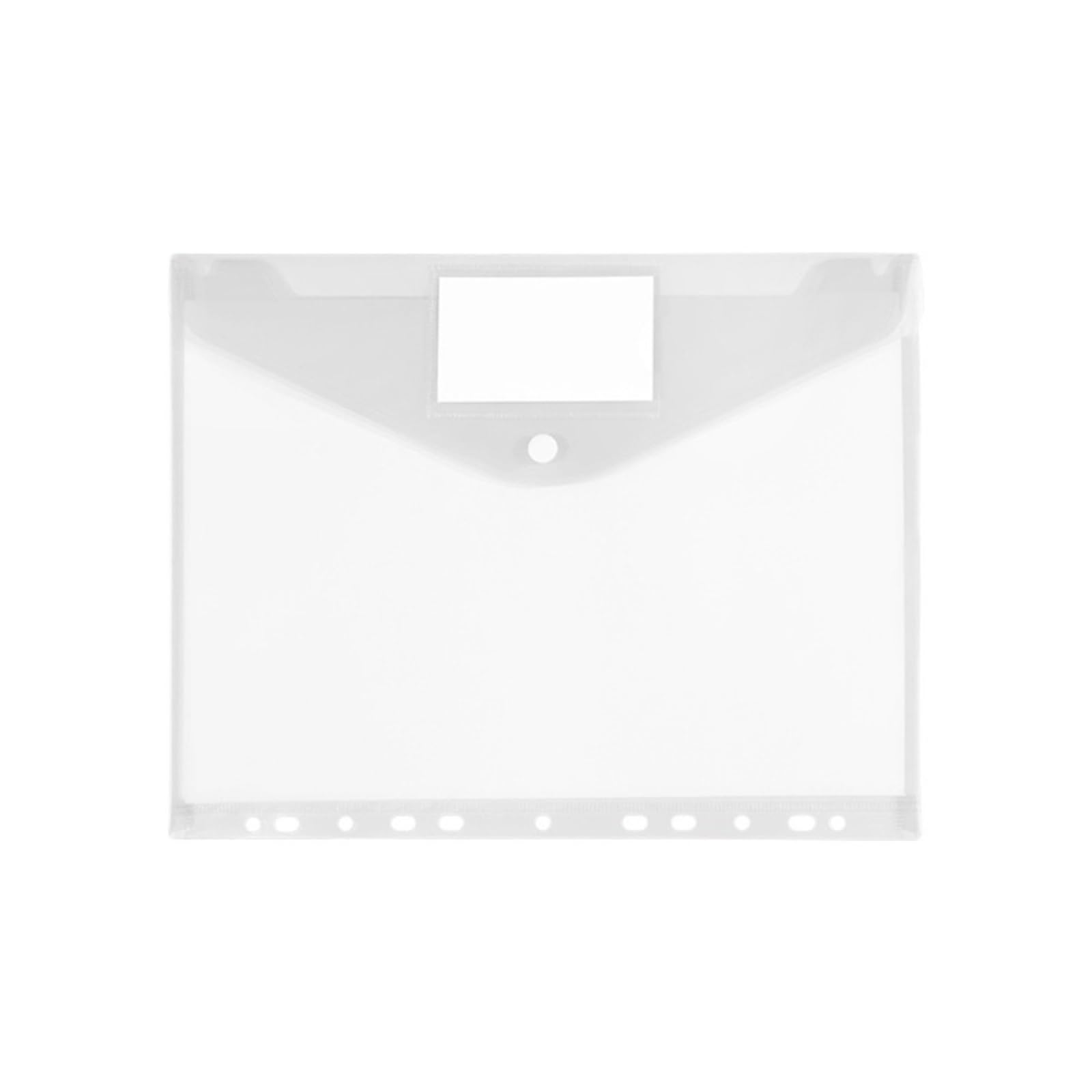 Cartella Trasparente 30 cartelle portadocumenti A4, organizer, 11 fori, espandibili, buste, tasche perforate Per Archivi(Transparent)