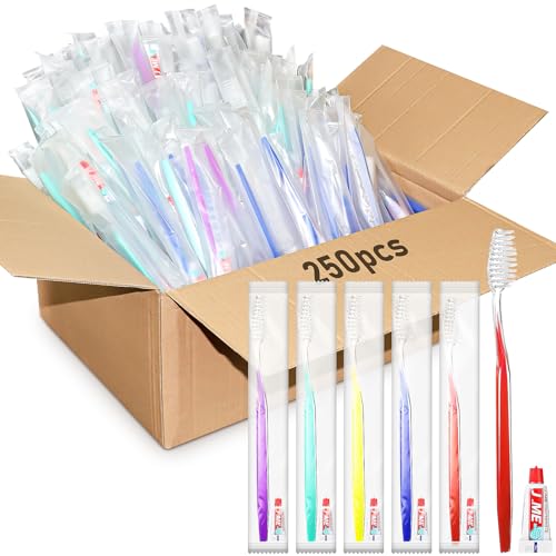 250 Stück Einweg Zahnbürste mit Zahnpasta Set, einzeln verpackte Zahnbürsten mit Mini Zahnpasta, Hotel Reise Gäste Spenden Hygiene Kit (5 Farben)
