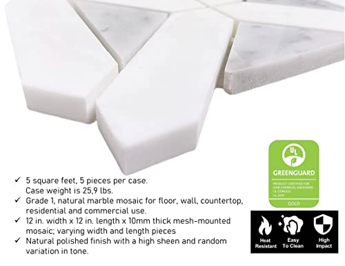 Bianco Dolomite With Grey Carrara Geometric Pattern 12 In. X 12 In. X 10 Mm Polished Marble Mesh-Mounted Floor And Wall Mosaic Tile #TOP4