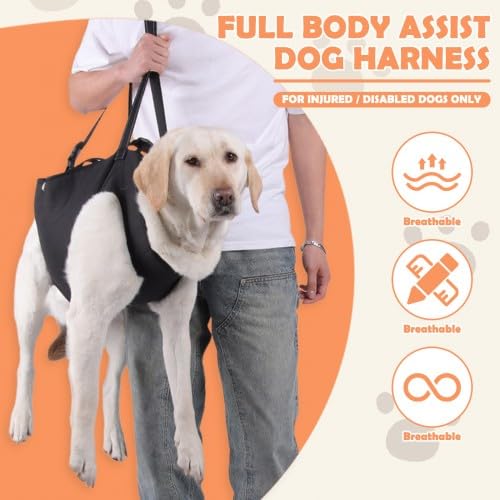 Hunde Tragehilfe,Tragehilfe Hund Treppe Verstellbare Gehhilfe für hundes, Hundeliftgeschirr für Hinterbeine Hundegeschirr Heben mit Griffen für Gelenkverletzungen,Arthritis, Stabilitätsverlust hunde,L
