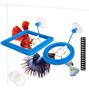 2 Pcs Automatic Fish Feeder for Aquarium, Beta Fish Tank Accessorie, with Suction Cup Easy to Install Aquarium, Square and Round Shape Tank Towels – for Guppy, Betta, Goldfish, Etc. (Blue)¡