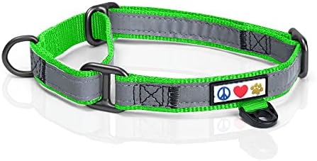 Pawtitas Martingale Dog Collar Puppy Collar Reflective Dog Collar Training Dog Collar Behavioral Dog Collar Medium Dog Collar Green Dog Collar