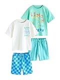NEXT Jungen Kurzärmeliges T-Shirt und Shorts im 2er-Set Green/White Food Backprint 104-110