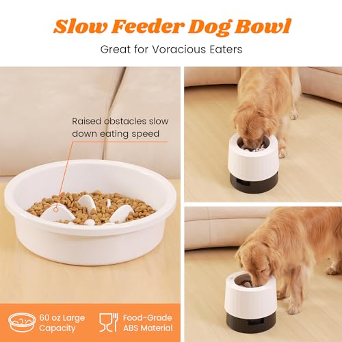 Pawque-Raised-Dog-Food-Water-Bowls