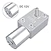 DC 12V Electric Motor Reversible High Torque Turbo Worm Electric Geared Gear Box Reduction Electric Motor(20RPM)