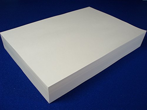 Amazon | かみらんど 【A4】 2分割4穴 マイクロミシン目入り PPCマルチ