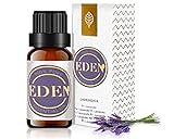 Aceite Esencial de Lavanda 100% Puro. 10 ml. Muy Utilizado en Aromaterapia Para Humidificadores, Difusores y Ambientadores de Hogar. Aroma Natural Agradable.
