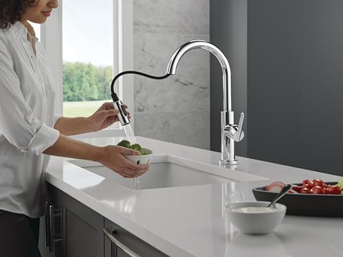 Delta-Faucet-Nicoli-Kitchen-Faucet-with-Pull-Down-Sprayer-Chrome-Kitchen-Sink-Faucet-Modern-Kitchen-Faucet-Kitchen-Faucet-with-Sprayer-Single-Hole-Kitchen-Faucet-Chrome-19867LF Delta Faucet Nicoli Kitchen Faucet with Pull Down Sprayer Chrome Kitchen Sink Faucet Modern Kitchen Faucet Kitchen Faucet with Sprayer Single Hole Kitchen Faucet Chrome 19867LF