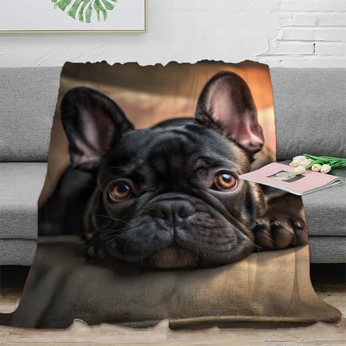 ZIRUID Bulldog Francese Coperta Di Flanella Bulldog Francese Coperta Per Divano Morbido Durevole Per Adulti E Adolescenti 60x80inch(150x200cm)