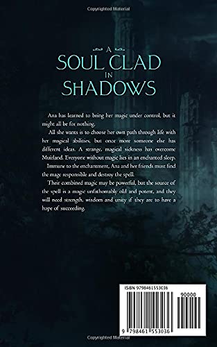 A Soul clad in Shadows: A Firethorn Kingdoms novel (Blood Magic) - Image 2