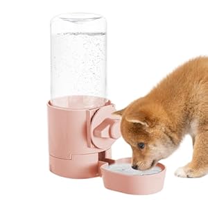 Generisch Automatischer Wasserspender für Hunde