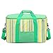 SASAU Picknickbeutel Picknick Rucksack, 34l Große Kapazität Berühmte Marke wasserdichte Wärmekühler isoliert Tragbare Tote Picknickeis Hot Tasche Coole Tasche Für Lebensmittel (Color : Green)