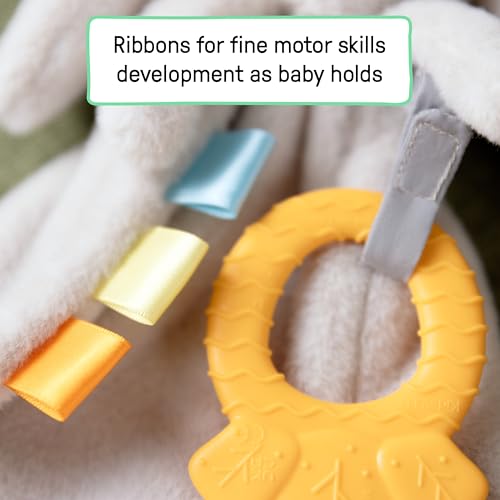 Image of Ingenuity Cozy Sylvi Plush Lovey Baby Teether - Soothe Gums - Self Soothing - Plush Bunny - Ages 0M+ (Pack of 2)