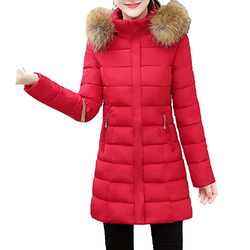 Manteaux en duvet à manches longues pour femmes avec veste d'hiver slim fit