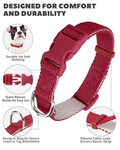 Collar para perro extra pequeño rojo Dynmeow miniatura 2